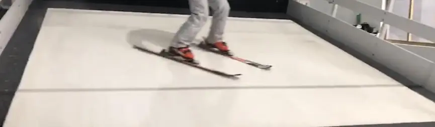 Skiing Grass For Indoor Training