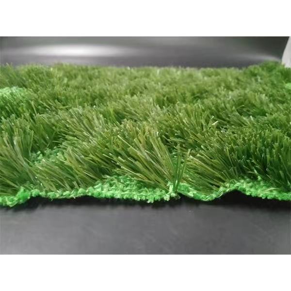 lawn